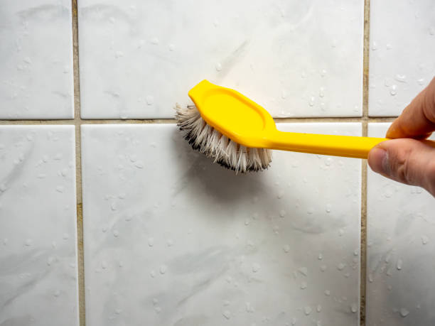 Best Home Mold Removal  in Ack, NY