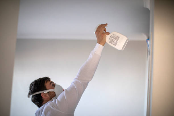 Office Mold Removal Services in Nyack, NY