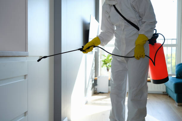Best Residential Mold Removal  in Ack, NY