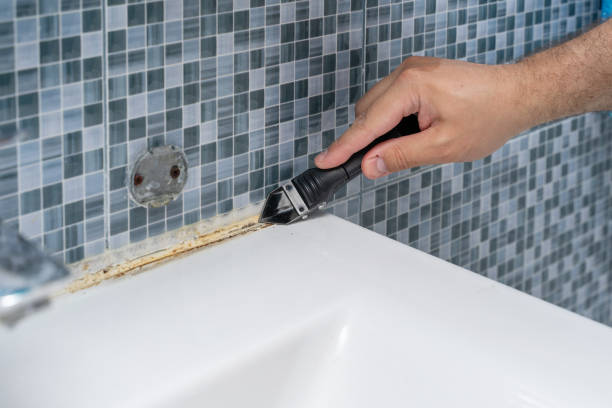 Best Mold Cleaning Services  in Ack, NY